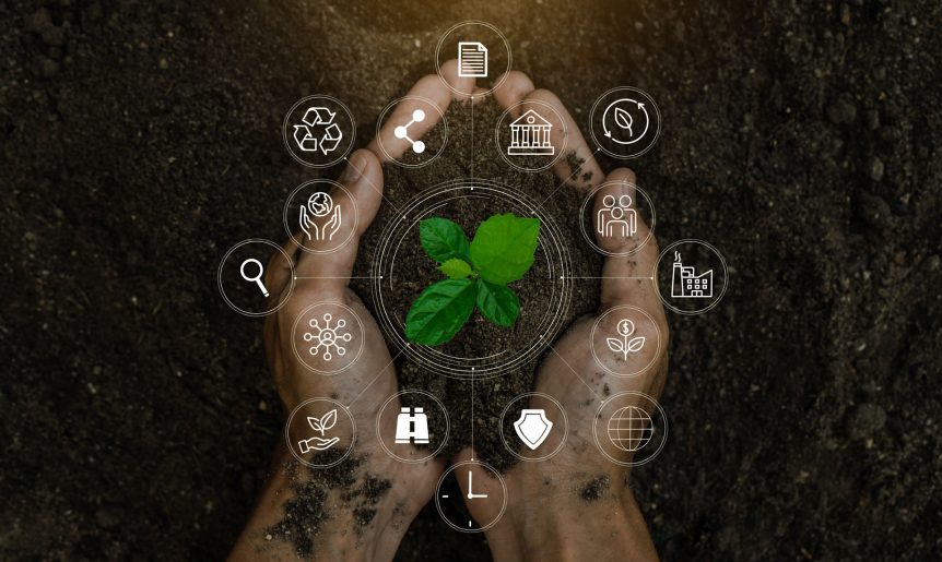 Navigating sustainability disclosures